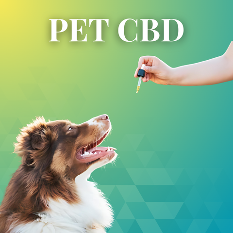 Pet CBD